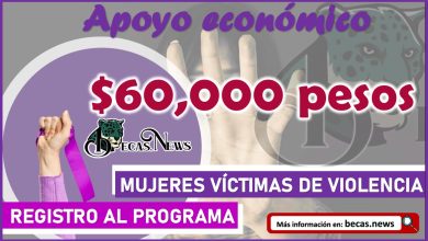 Apoyo económico de hasta 60 mil pesos a mujeres víctimas de violencia en este estado
