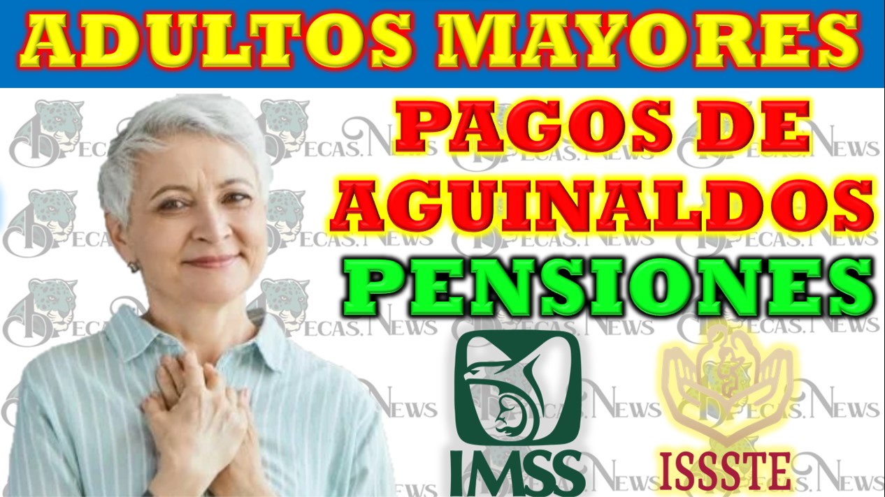 Noticias de Pagos de Aguinaldo y Pensiones: Actualizaciones Importantes