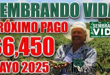 NEW 1 385