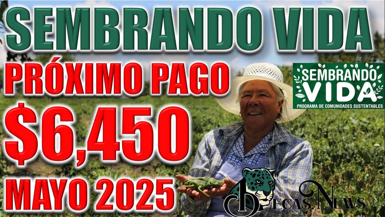 ▷ ¿Cuándo realizará el siguiente pago de 6 mil 450 pesos la Secretaría del Bienestar? » 2025 BECAS.NEWS 🥇 NEW 1 385