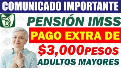Pensión IMSS 2024: Cómo Obtener un Pago Extra de 3,000 Pesos Adultos Mayores