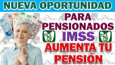  Aumentar la Pensión del IMSS