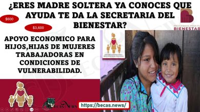 ¿BECA PARA MADRES SOLTERAS TIENES RECURSOS LIMITADOS?