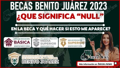 Beca Benito Juárez 2023 | ¿Que significa NULL en la beca y qué hacer si esto me aparece?