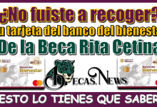 ¿No fuiste a recoger tu tarjeta del banco del bienestar de la Beca Rita Cetina?...ESTO LO DEBES SABER 