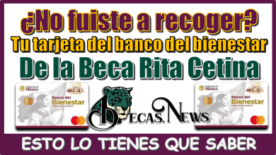 ¿No fuiste a recoger tu tarjeta del banco del bienestar de la Beca Rita Cetina?...ESTO LO DEBES SABER 