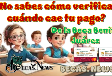 ¿No sabes cómo verificar cuándo te cae tu pago de la Beca Benito Juárez?