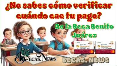 ¿No sabes cómo verificar cuándo te cae tu pago de la Beca Benito Juárez?