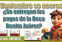 Noviembre se acerca | ¿Se entregan los pagos de la Beca Benito Juárez?