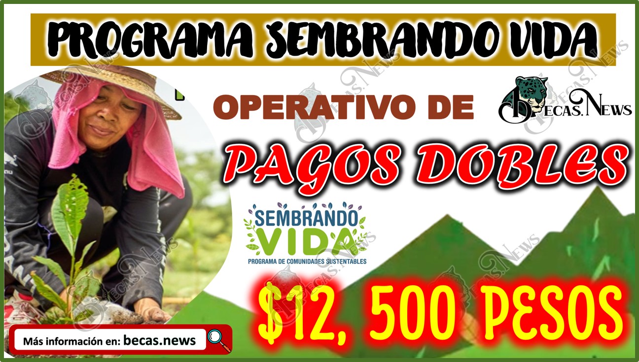 Programa Sembrando Vida: Pago doble de $12,500 pesos a beneficiarios.