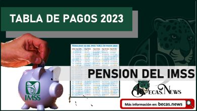 Pensión IMSS 2023: Tabla de Nuevas cuotas de PAGO a derechohabientes de la Modalidad 40