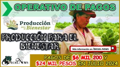 Producción para el Bienestar 2024: Operativo de pagos de $6 mil 200 y $24 mil pesos en Julio 2024