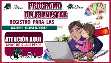 PROGRAMA DEL BIENESTAR| REGISTRO PARA LAS MADRES TRABAJADORAS