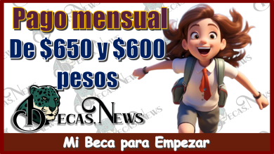 Pago mensual de $650 y $600 pesos | Mi Beca para Empezar