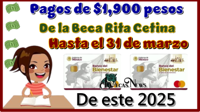 Pagos de $1,900 pesos de la Beca Rita Cetina | Hasta el 31 de marzo de este 2025 