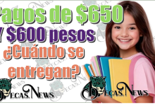 Pagos de $650 y $600 pesos | ¿Cuándo se entregan?