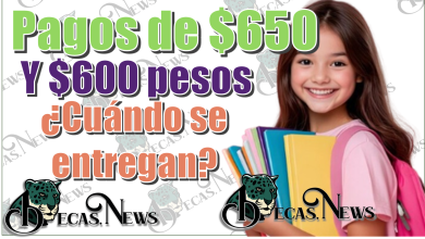 Pagos de $650 y $600 pesos | ¿Cuándo se entregan?