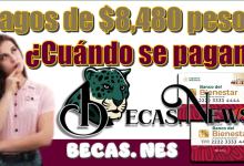 Pagos de $8,480 pesos | ¿Cuándo se pagan?