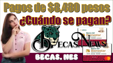 Pagos de $8,480 pesos | ¿Cuándo se pagan?