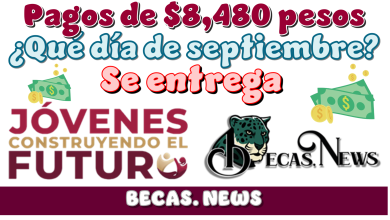 Pagos de $8,480 pesos | ¿Qué día de septiembre se entrega?