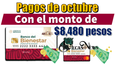 Pagos de octubre | Con el monto de $8,480 pesos