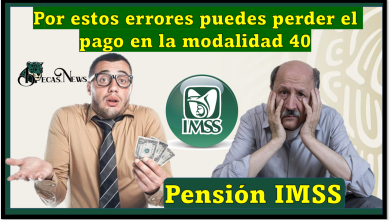 Pensión IMSS: ADULTO MAYOR por estos errores puedes perder el pago en la modalidad 40