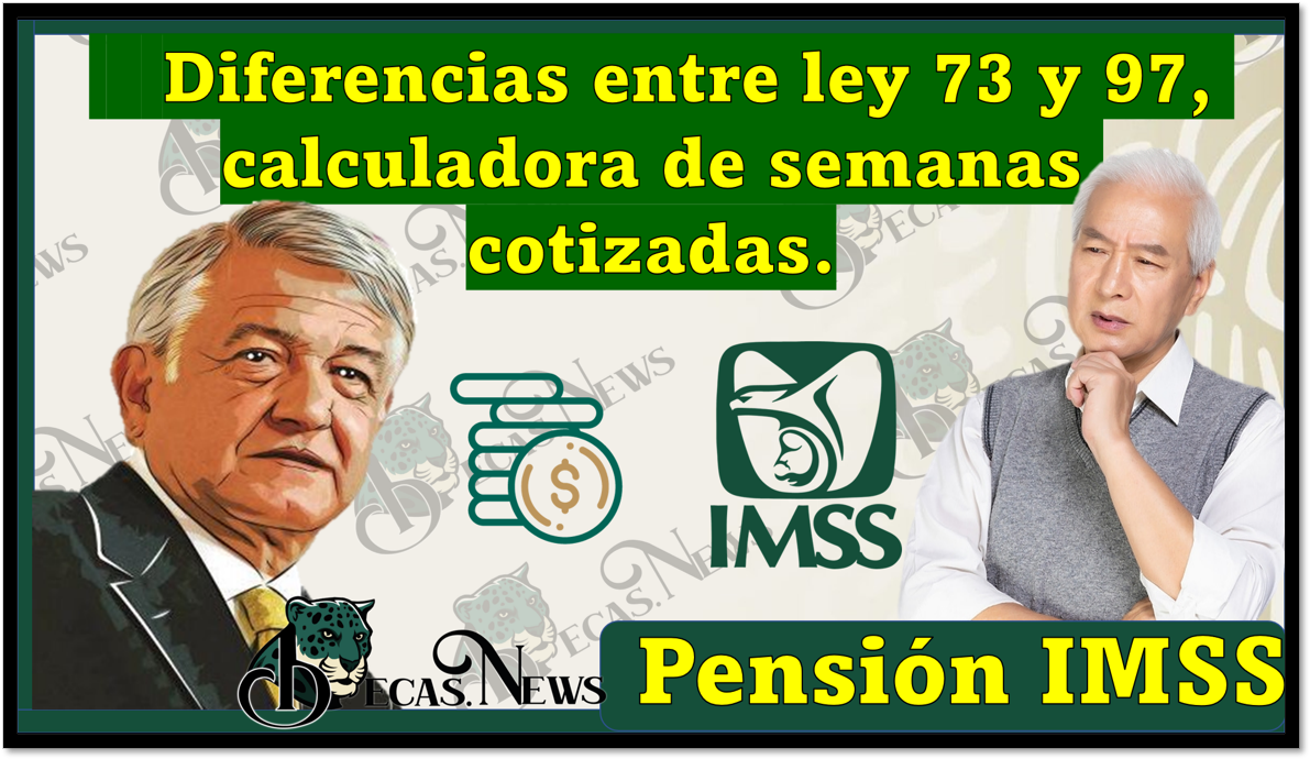Pensión Del IMSS Diferencias Entre Ley Y Calculadora De Semanas Cotizadas Mayo