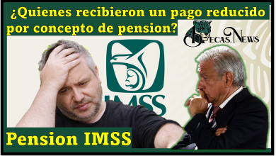 Pensión del IMSS: ¿Quienes recibieron un pago reducido por concepto de pension?