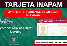 ¿Perdiste tu Tarjeta INAPAM? Así la Repones Fácil y Gratis