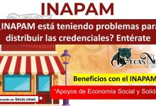 ¿INAPAM está teniendo problemas para distribuir las credenciales? Entérate