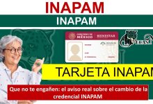 Que no te engañen: el aviso real sobre el cambio de la credencial INAPAM
