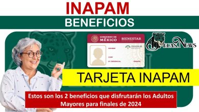 Estos son los 2 beneficios que disfrutarán los Adultos Mayores para finales de 2024