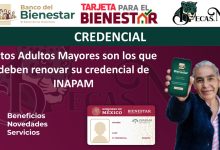 Estos Adultos Mayores son los que deben renovar su credencial de INAPAM