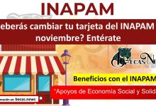 ¿Deberás cambiar tu tarjeta del INAPAM en noviembre? Entérate