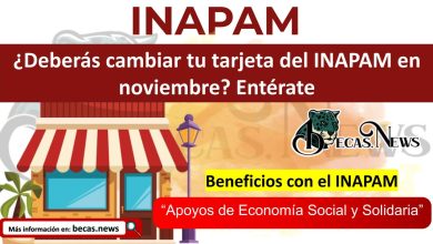 ¿Deberás cambiar tu tarjeta del INAPAM en noviembre? Entérate