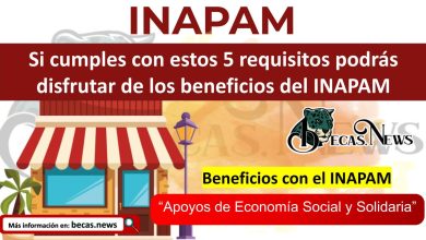 Si cumples con estos 5 requisitos podrás disfrutar de los beneficios del INAPAM