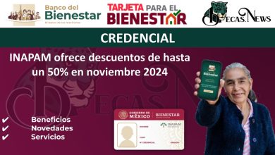 INAPAM ofrece descuentos de hasta un 50% en noviembre 2024