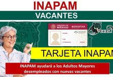 INAPAM ayudará a los Adultos Mayores desempleados con nuevas vacantes