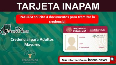 INAPAM solicita 4 documentos para tramitar la credencial