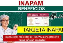 ¿Conoces los requisitos del INAPAM para obtener la nueva tarjeta? Conócelos