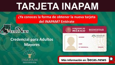 ¿Ya conoces la forma de obtener la nueva tarjeta del INAPAM? Entérate