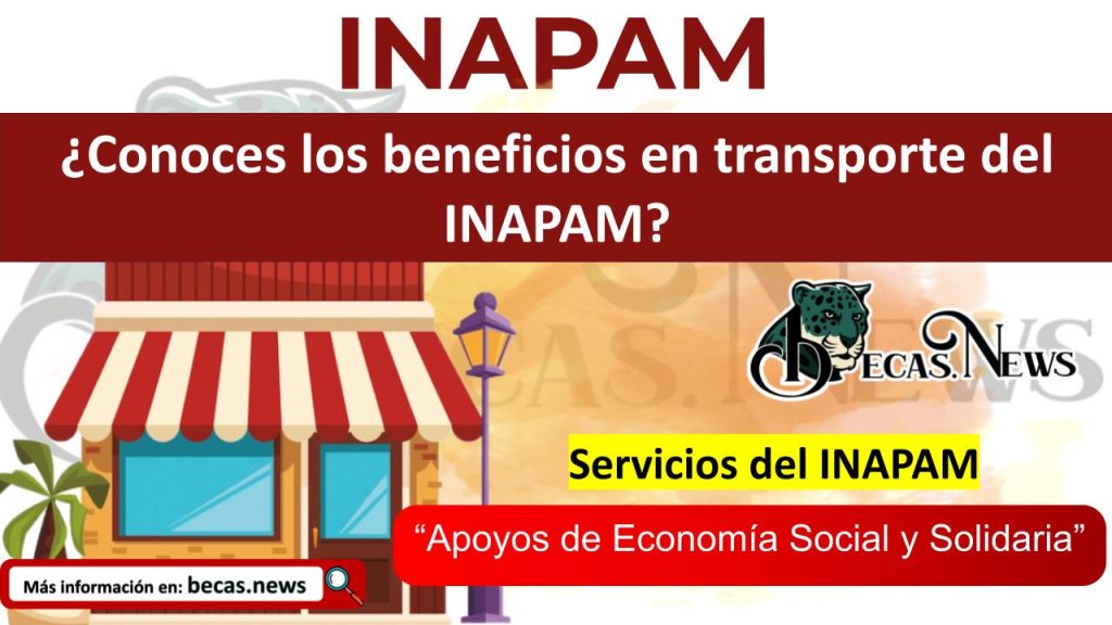 ¿Conoces los beneficios en transporte del INAPAM? Entérate