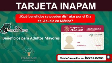 ¿Qué beneficios se pueden disfrutar por el Día del Abuelo en México?