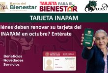 ¿Quiénes deben renovar la tarjeta del INAPAM en octubre? Entérate