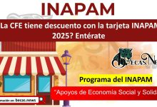 ¿La CFE tiene descuento con la tarjeta INAPAM 2025? Entérate