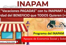 ¿"Vacaciones PAGADAS" con tu INAPAM? La Verdad del BENEFICIO que TODOS Quieren (+60)