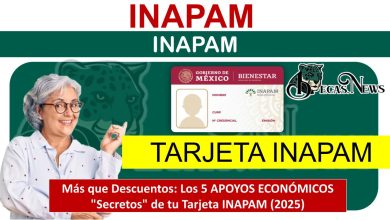 Más que Descuentos: Los 5 APOYOS ECONÓMICOS "Secretos" de tu Tarjeta INAPAM (2025)