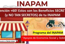 ¡Atención +60! Estos son los Beneficios SECRETOS (y NO TAN SECRETOS) de tu INAPAM