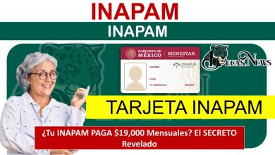 ¿Tu INAPAM PAGA $19,000 Mensuales? El SECRETO Revelado