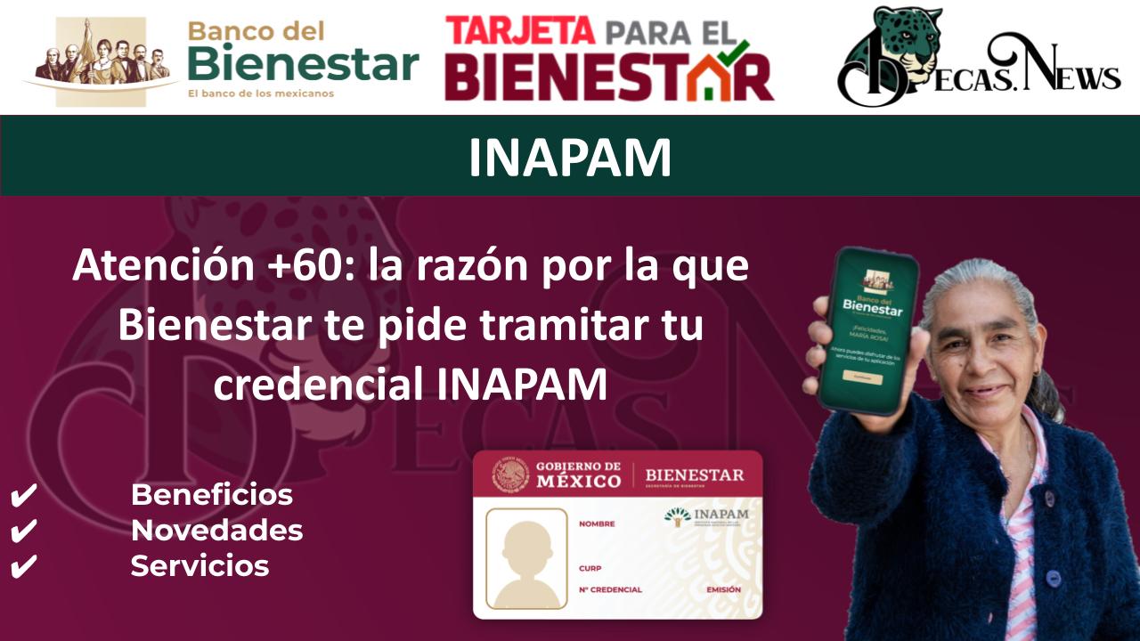▷ Atención +60: la razón por la que Bienestar te pide tramitar tu credencial INAPAM » 2025 BECAS.NEWS 🥇 Atención +60: la razón por la que Bienestar te pide tramitar tu credencial INAPAM